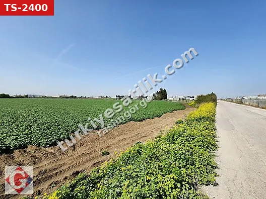 GÖRGÜN'DEN YENİ SANAYİ GÜNEYİ 40.819M2 SATILIK KÖŞE PARSEL TARLA