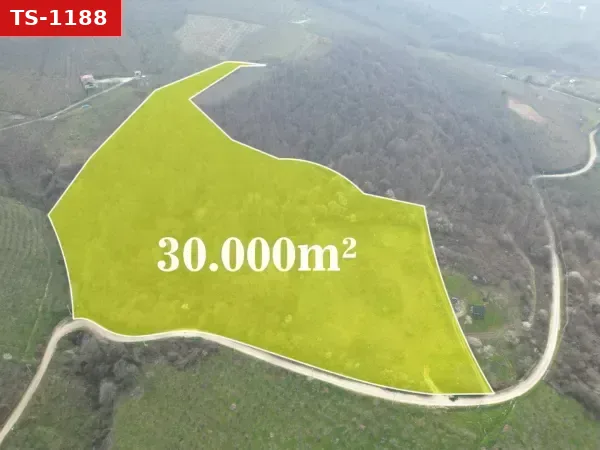 Satılık Tarla - Yeşilvadi Mahallesi, 29780 m²