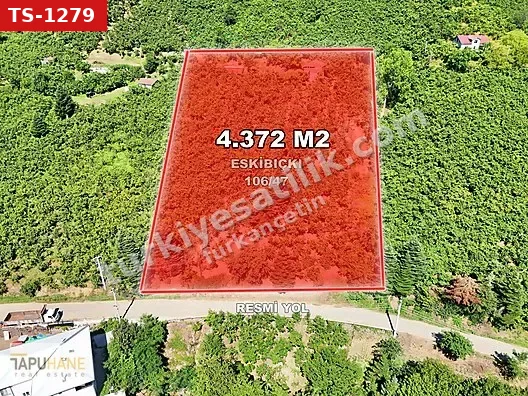 TAPUHANE'DEN E.BIÇKIATİK KÖYÜNDE 4.372 M2 SATILIK FINDIKBAHÇESİ