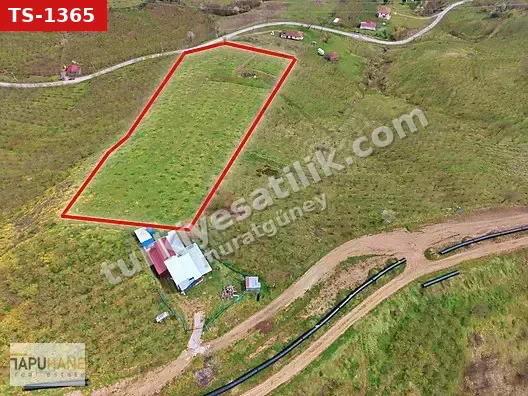 TAPUHANEDEN HENDEK ESKİBIÇKI Köyünde 12 Dönüm fındık bahcesi