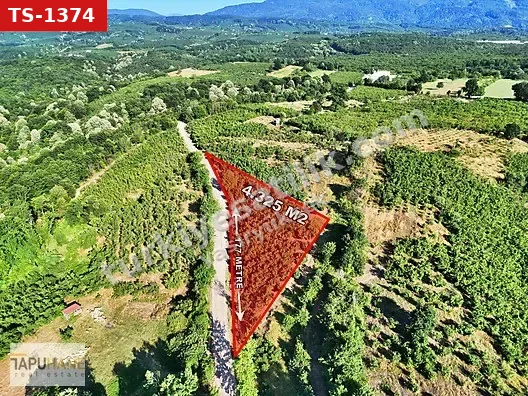 TAPUHANE YASİR YÜKSEK'TEN FIRSAT ARSA !!!