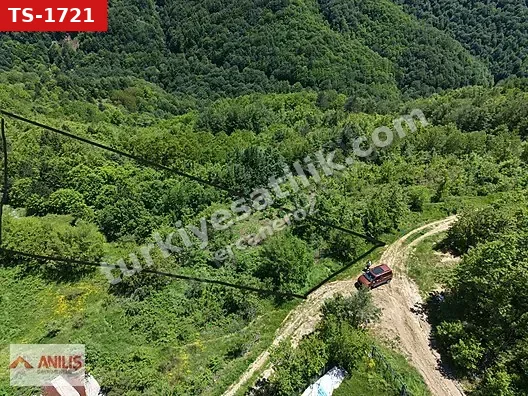 İznik Osmaniye'de Satılık 3354m² Tarla - Araç Takaslı